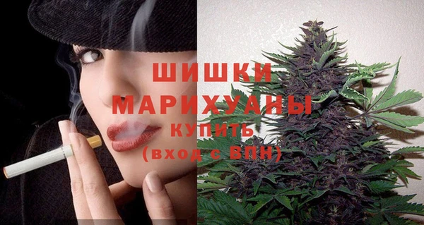 спиды Медвежьегорск