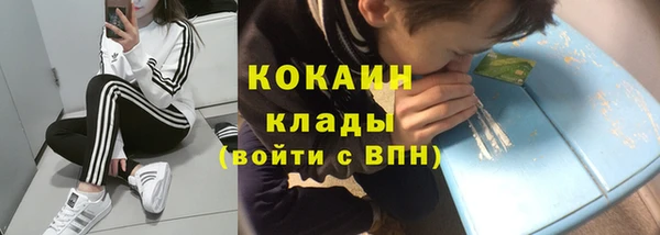 молекула духа Краснослободск