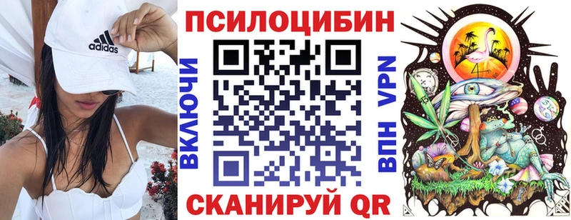 купить закладку  Новотроицк  Псилоцибиновые грибы Psilocybine cubensis 